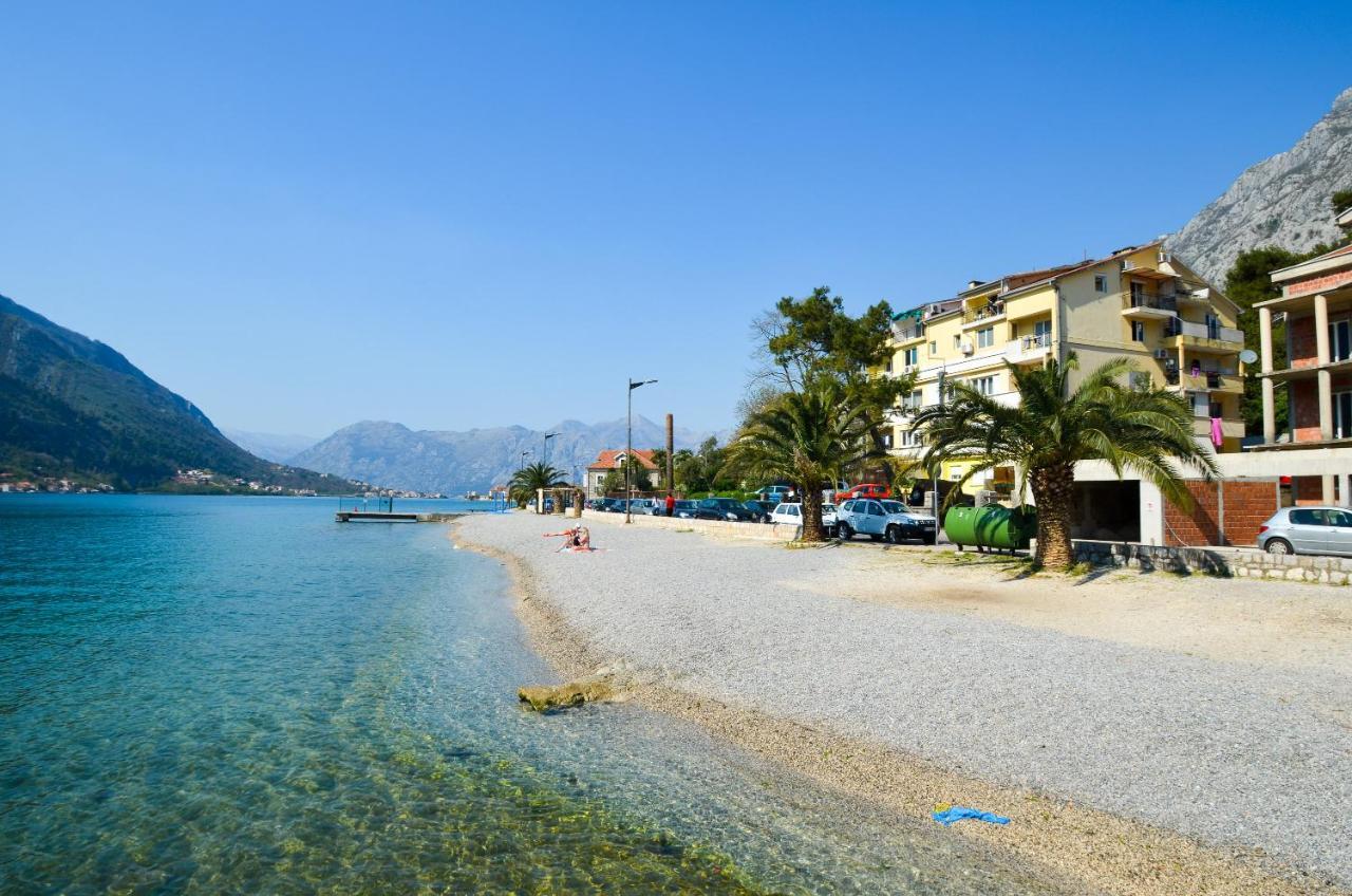 Central Apartment Kotor Eksteriør bilde